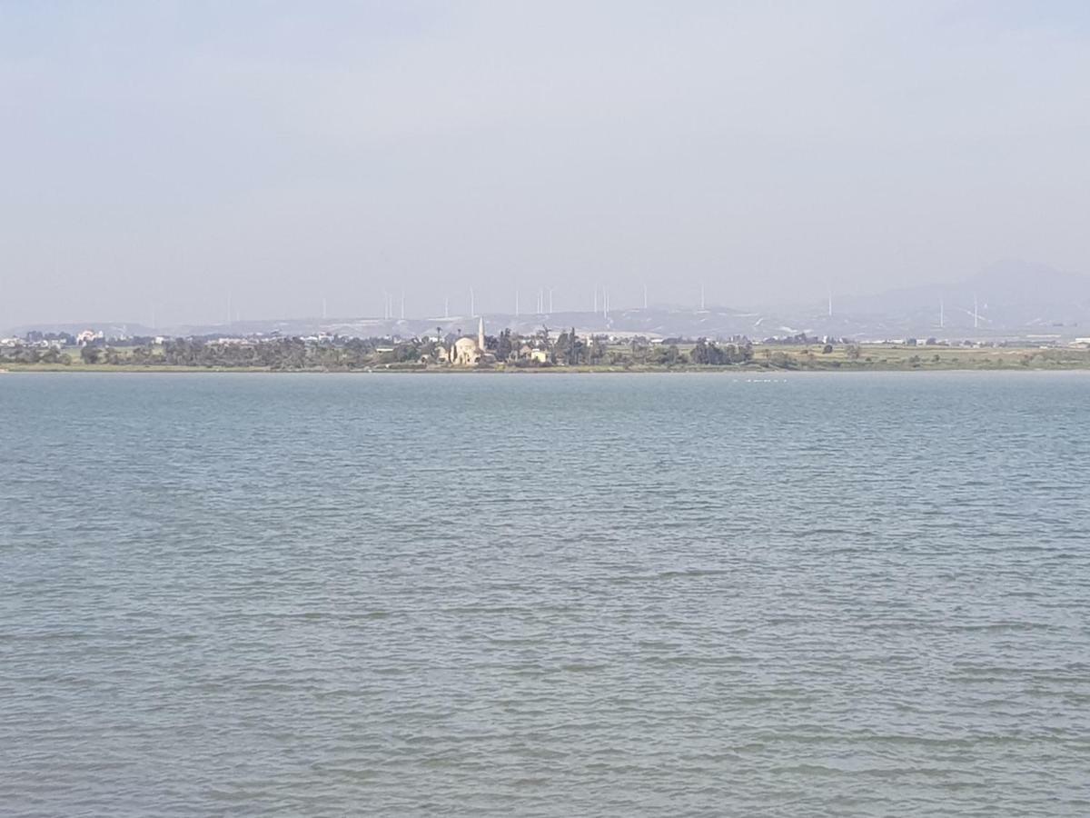 Haig'S Dream Flat On The Beach لارنكا المظهر الخارجي الصورة